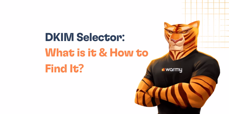 DKIM Selector: What Is It and How to Find It? 16 Illustration of an anthropomorphic tiger wearing a black warmy t-shirt, standing with crossed arms next to the text: DKIM Selector: What is it & How to Find It? on a white background.