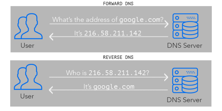 Diagram illustrating DNS processes: Forward DNS shows a user requesting the address of google.com and receiving 216.58.211.142 from a DNS server. Reverse DNS shows a user querying 216.58.211.142 and getting google.com in response.