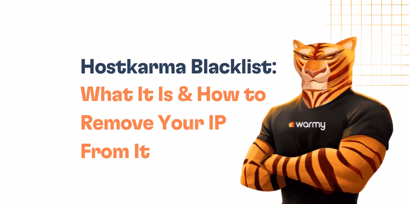 Hostkarma Blacklist: What It Is & How to Remove Your IP From It 29 A muscular tiger character wearing a black warmy shirt stands with arms crossed. Text reads: Hostkarma Blacklist: What It Is & How to Remove Your IP From It on a white background with orange grid lines.