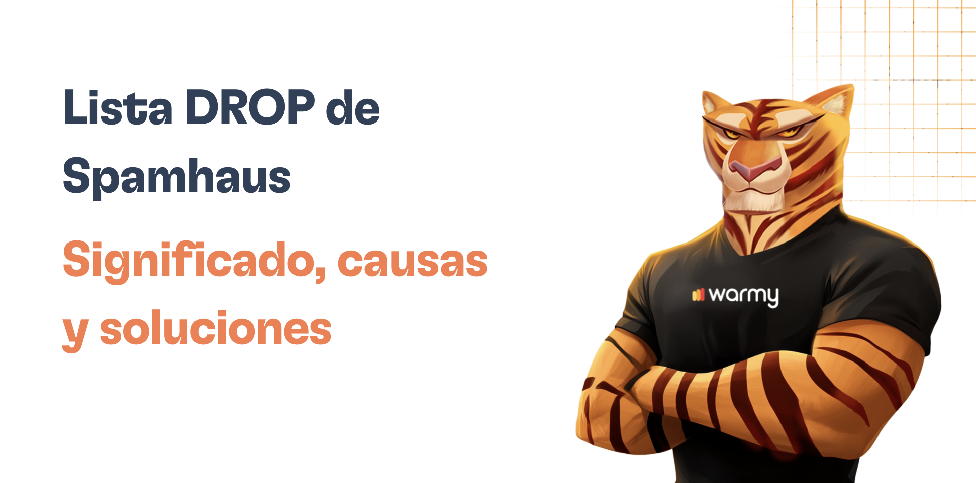 Guía para eliminar tu IP de la lista DROP de Spamhaus