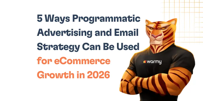 5 Ways Programmatic Advertising and Email Strategy Can Be Used for eCommerce Growth in 2026