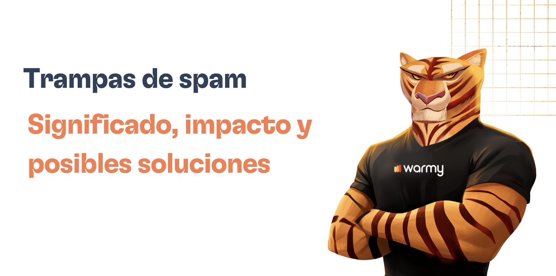 ¿Qué son las trampas de spam (spam traps) y cómo evitarlas?