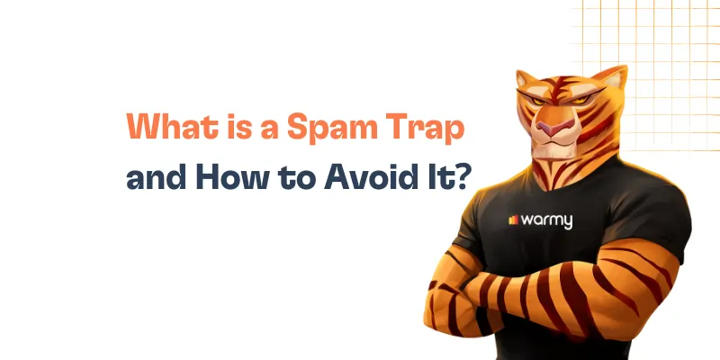 What is a Spam Trap and How to Avoid It?